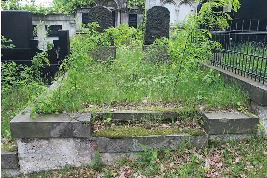 Grabstein Nummer 435 auf dem Friedhof Potsdam