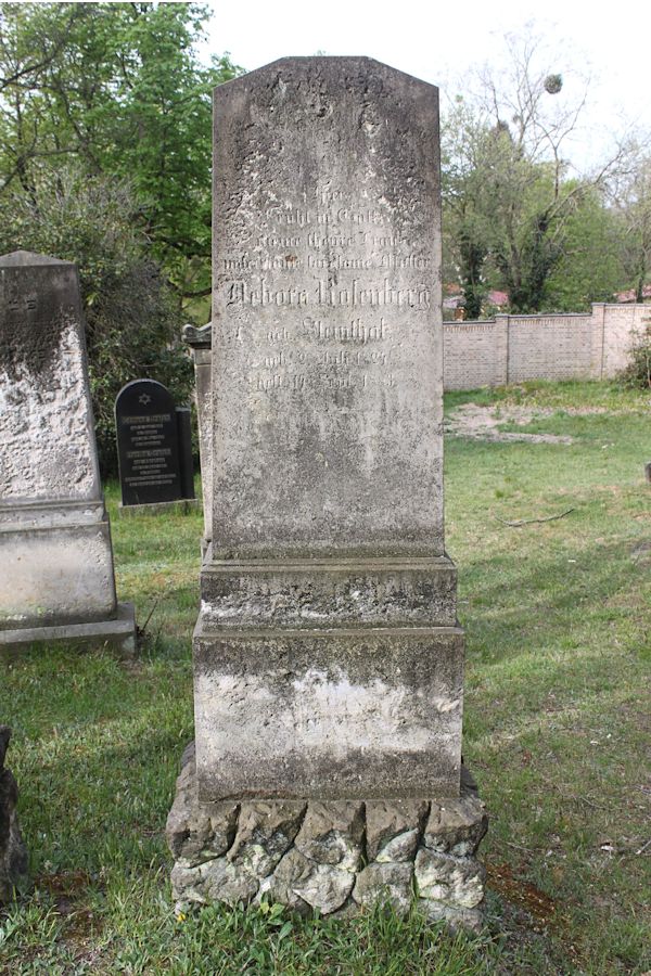 Grabstein Nummer 248 auf dem Friedhof Potsdam