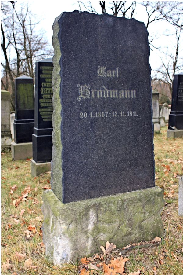 Grabstein Nummer 353 auf dem Friedhof Potsdam