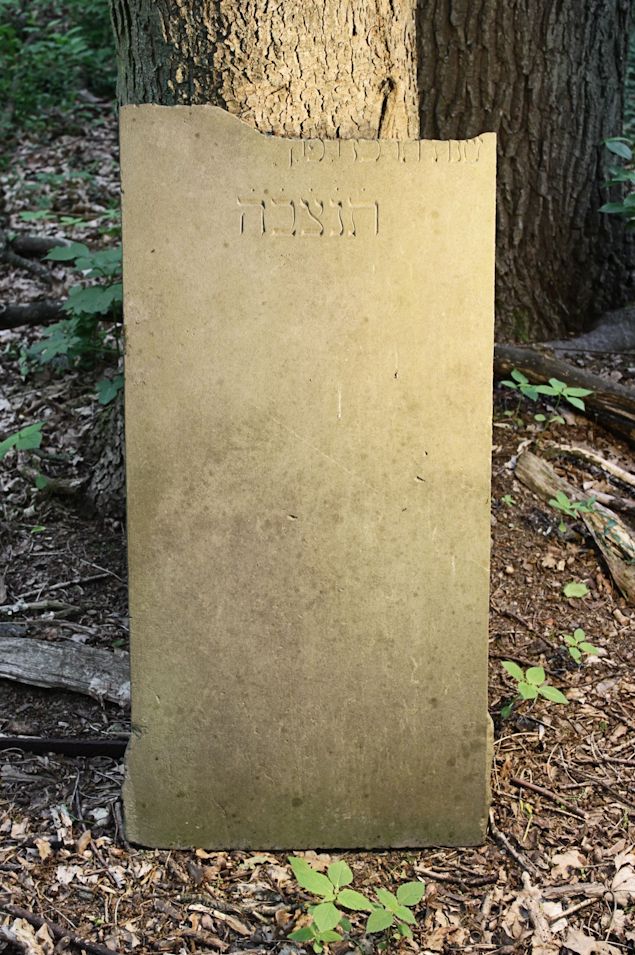 Grabstein Nummer 30 auf dem Friedhof Torzym (Sternberg)