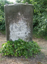 Grabstein Nummer 8 auf dem Friedhof Meinsdorf
