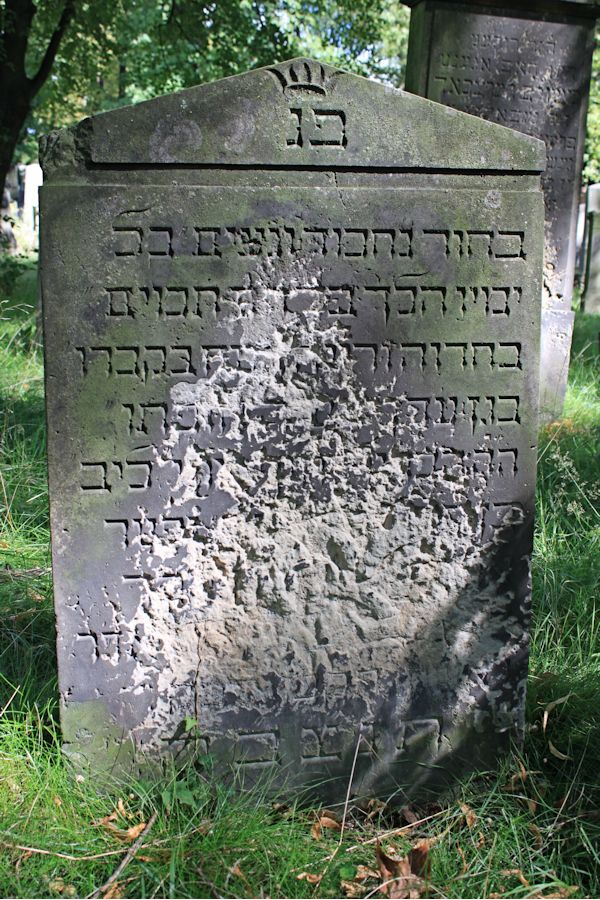 Grabstein Nummer 113 auf dem Friedhof Potsdam