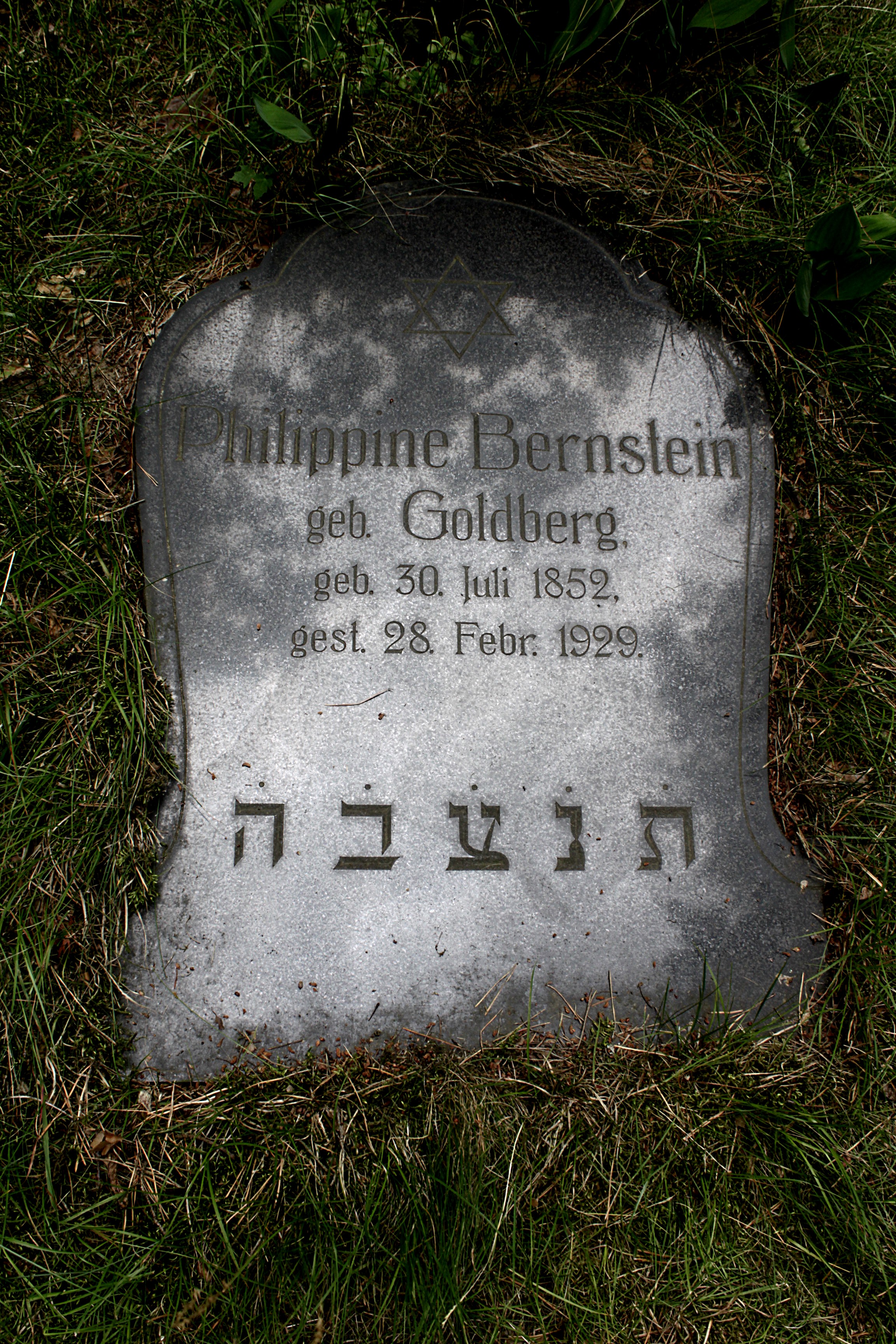Grabstein Nummer 21 auf dem Friedhof Cottbus 1