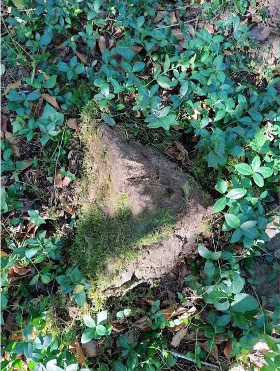 Grabstein Nummer 35 auf dem Friedhof Boleszkowice (Fürstenfelde)