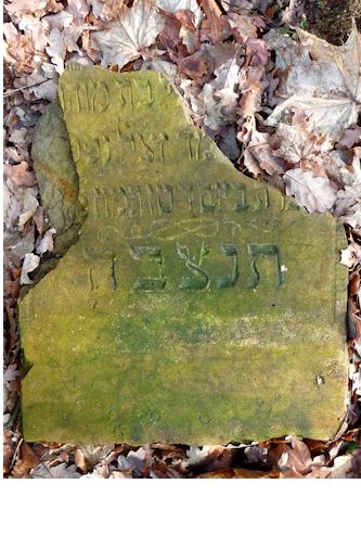 Grabstein Nummer 874 auf dem Friedhof Frankfurt/Oder