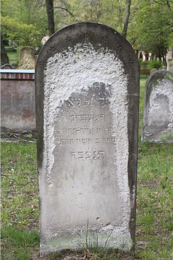 Grabstein Nummer 235 auf dem Friedhof Potsdam