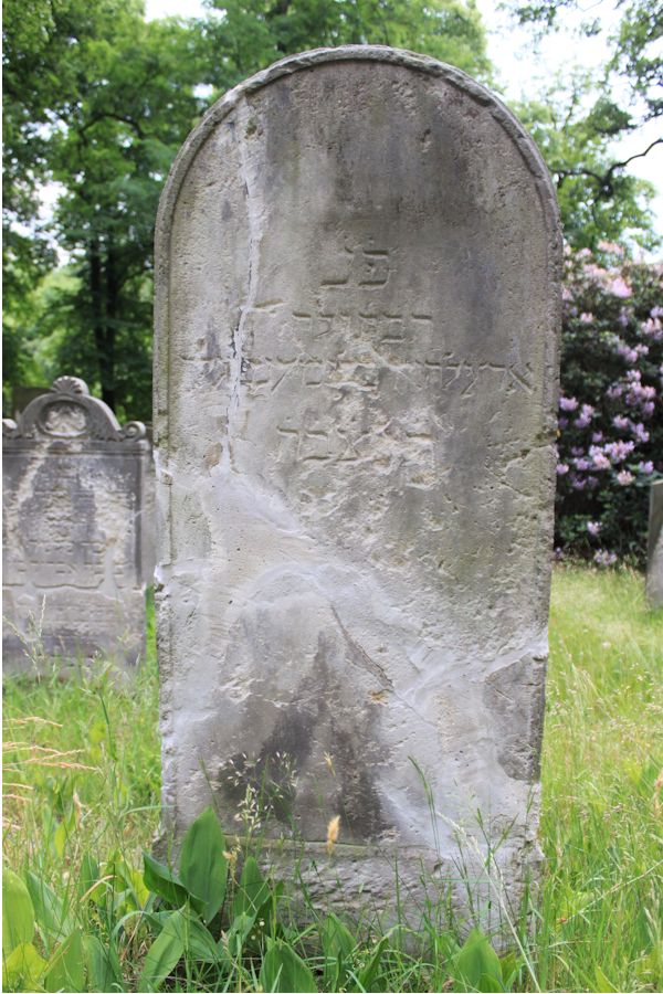 Grabstein Nummer 216 auf dem Friedhof Potsdam