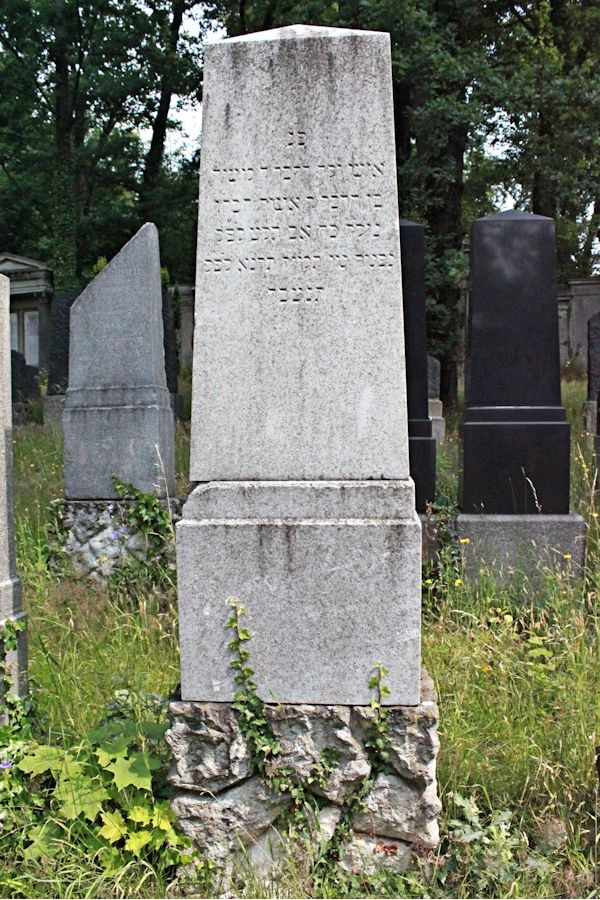 Grabstein Nummer 303 auf dem Friedhof Potsdam