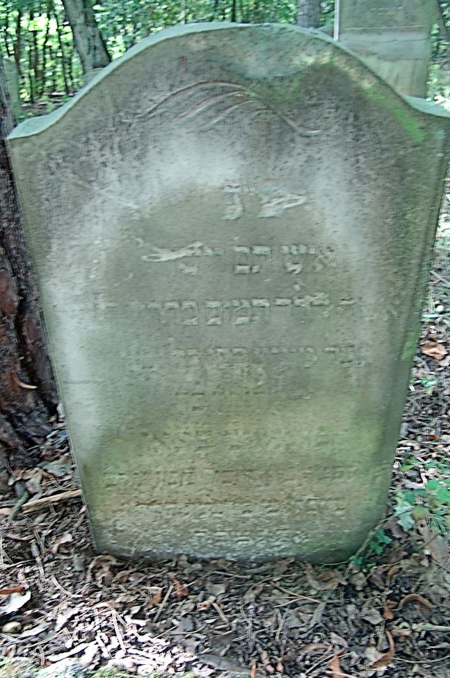 Grabstein Nummer 112 auf dem Friedhof Trzciel (Tirschtiegel)