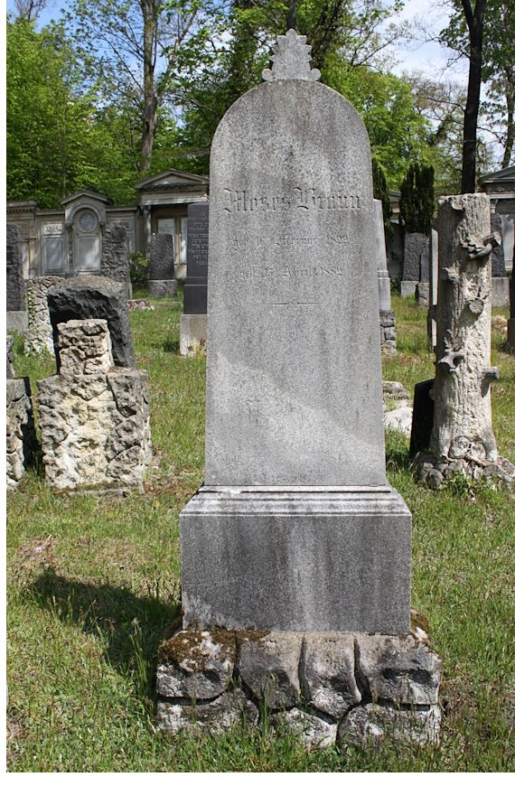 Grabstein Nummer 259 auf dem Friedhof Potsdam