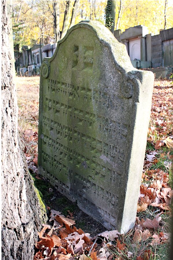 Grabstein Nummer 77 auf dem Friedhof Potsdam
