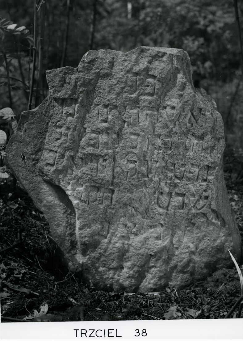 Grabstein Nummer 89 auf dem Friedhof Trzciel (Tirschtiegel)