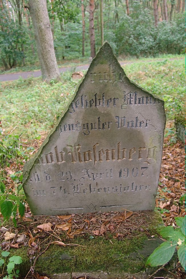 Grabstein Nummer 96 auf dem Friedhof Trzciel (Tirschtiegel)