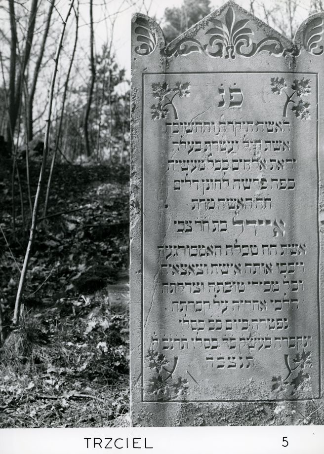 Grabstein Nummer 14 auf dem Friedhof Trzciel (Tirschtiegel)