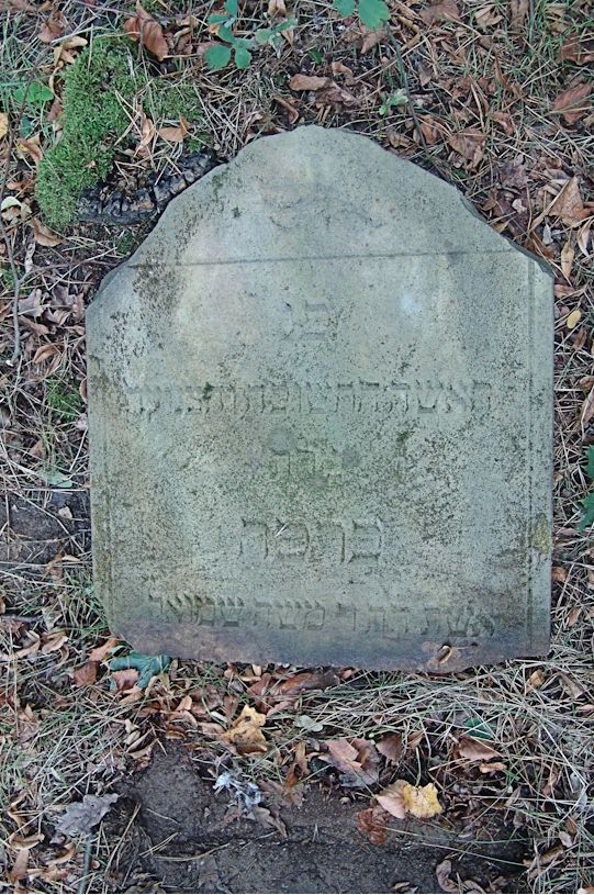 Grabstein Nummer 46 auf dem Friedhof Trzciel (Tirschtiegel)