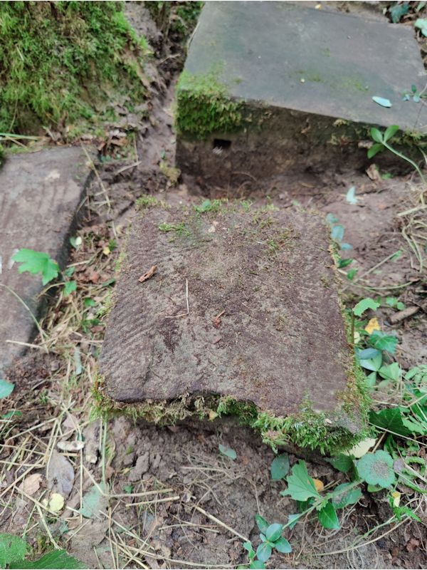 Grabstein Nummer 11 auf dem Friedhof Boleszkowice (Fürstenfelde)