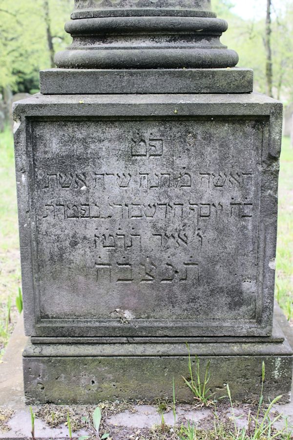 Grabstein Nummer 193 auf dem Friedhof Potsdam