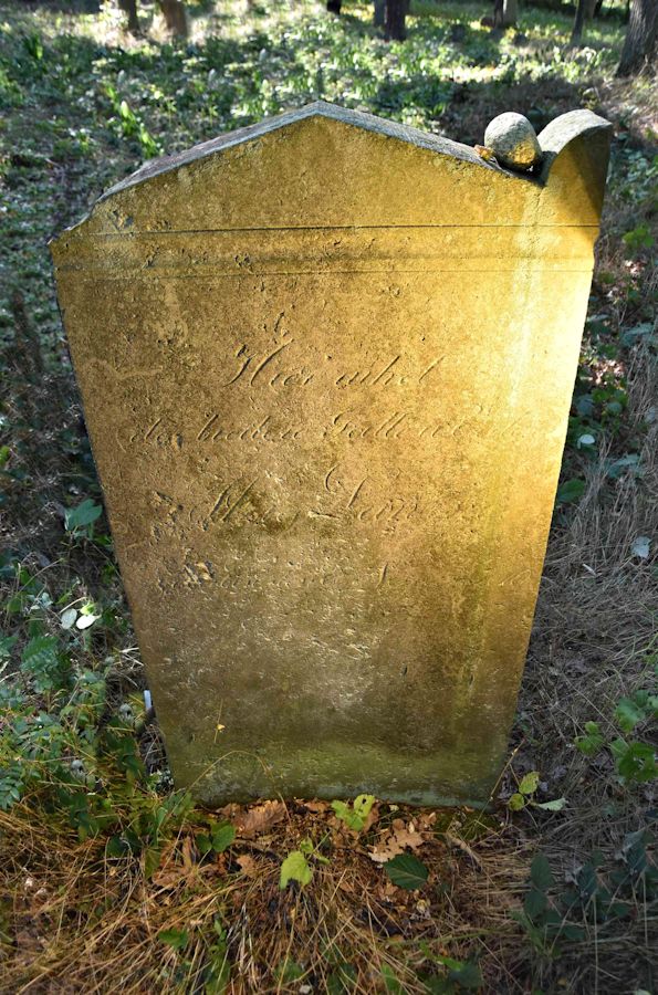 Grabstein Nummer 66 auf dem Friedhof Trzemeszno Lubuskie (Schermeisel)