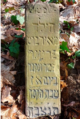 Grabstein Nummer 1015 auf dem Friedhof Frankfurt/Oder