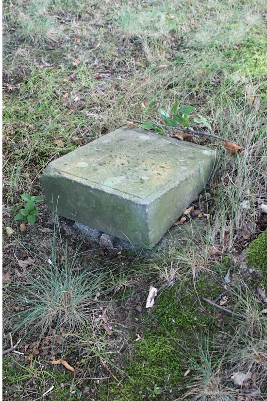 Grabstein Nummer 103 auf dem Friedhof Guben