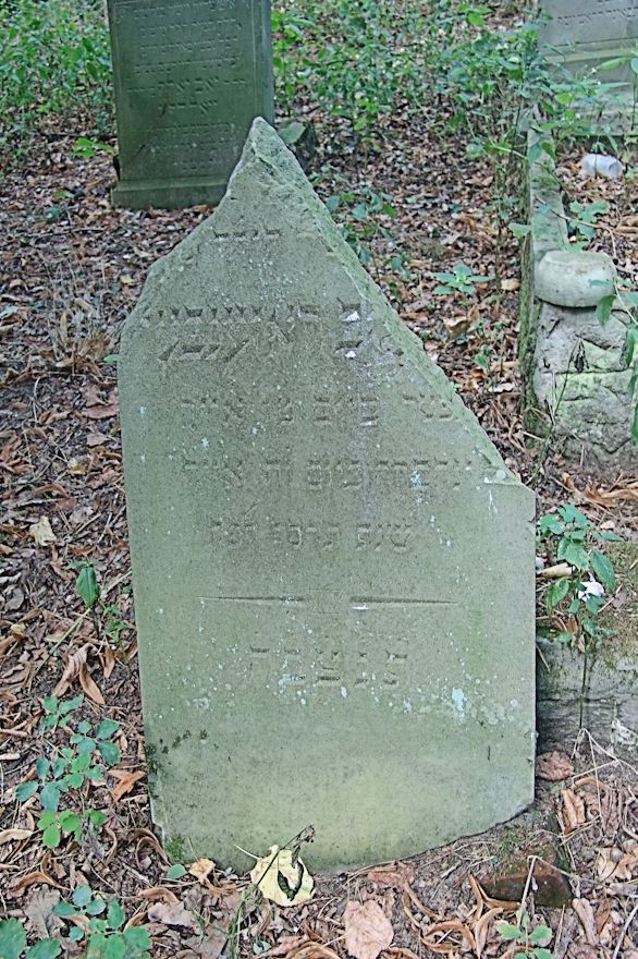 Grabstein Nummer 96 auf dem Friedhof Trzciel (Tirschtiegel)