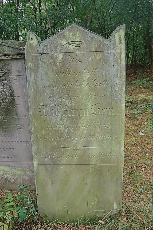 Grabstein Nummer 99 auf dem Friedhof Trzciel (Tirschtiegel)