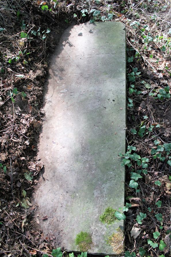 Grabstein Nummer 9 auf dem Friedhof Świętojańsko (St. Johannes)