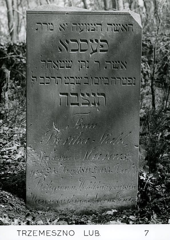 Grabstein Nummer 92 auf dem Friedhof Trzemeszno Lubuskie (Schermeisel)