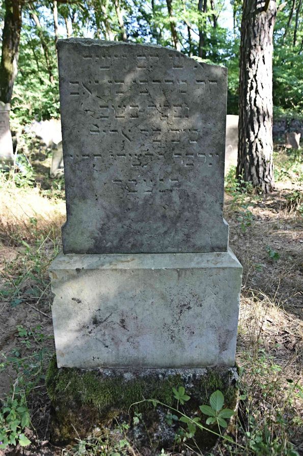 Grabstein Nummer 46 auf dem Friedhof Trzemeszno Lubuskie (Schermeisel)