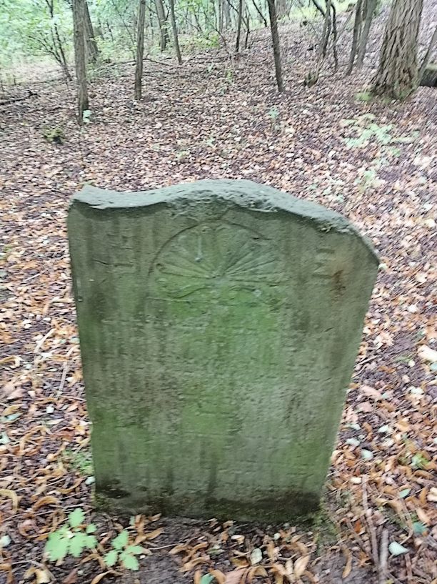 Grabstein Nummer 127 auf dem Friedhof Trzciel (Tirschtiegel)