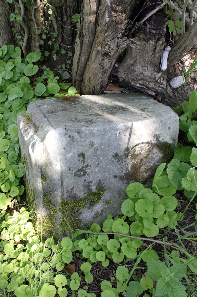 Grabstein Nummer 12 auf dem Friedhof Dębno (Neudamm)