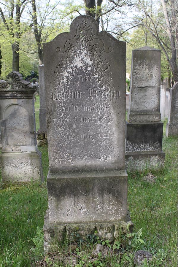 Grabstein Nummer 324 auf dem Friedhof Potsdam
