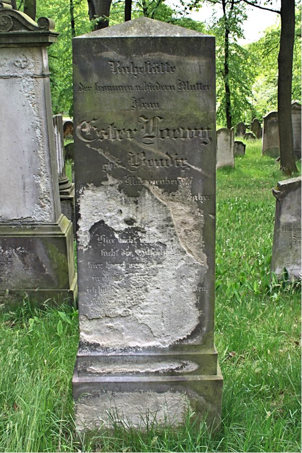 Grabstein Nummer 230 auf dem Friedhof Potsdam