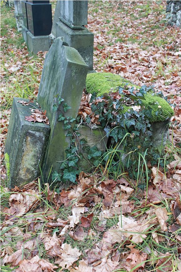 Grabstein Nummer 318 auf dem Friedhof Potsdam