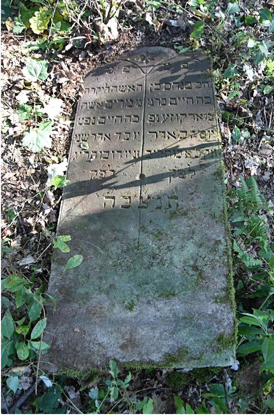 Grabstein Nummer 55 auf dem Friedhof Trzemeszno Lubuskie (Schermeisel)