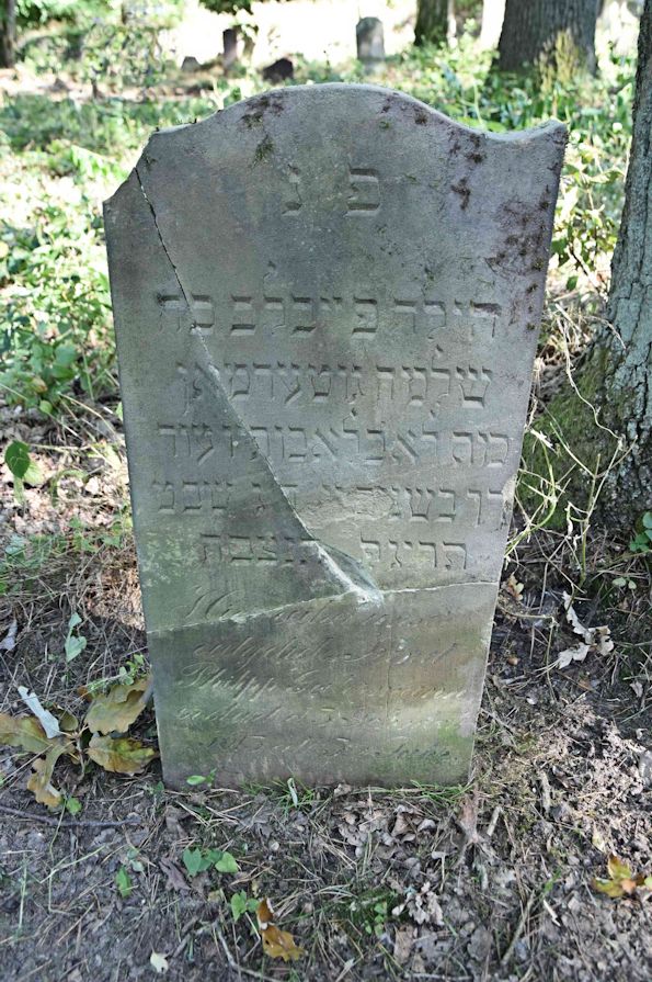 Grabstein Nummer 38 auf dem Friedhof Trzemeszno Lubuskie (Schermeisel)