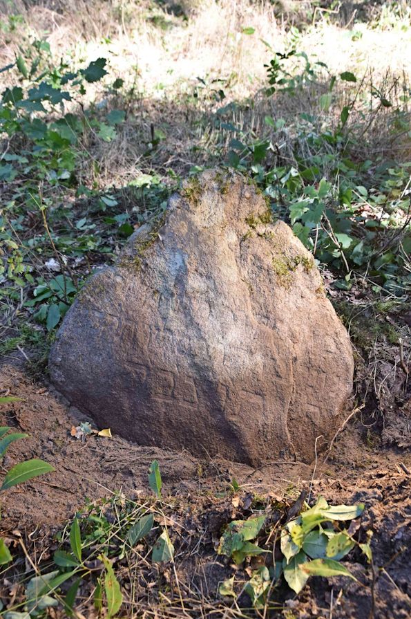 Grabstein Nummer 16 auf dem Friedhof Trzemeszno Lubuskie (Schermeisel)