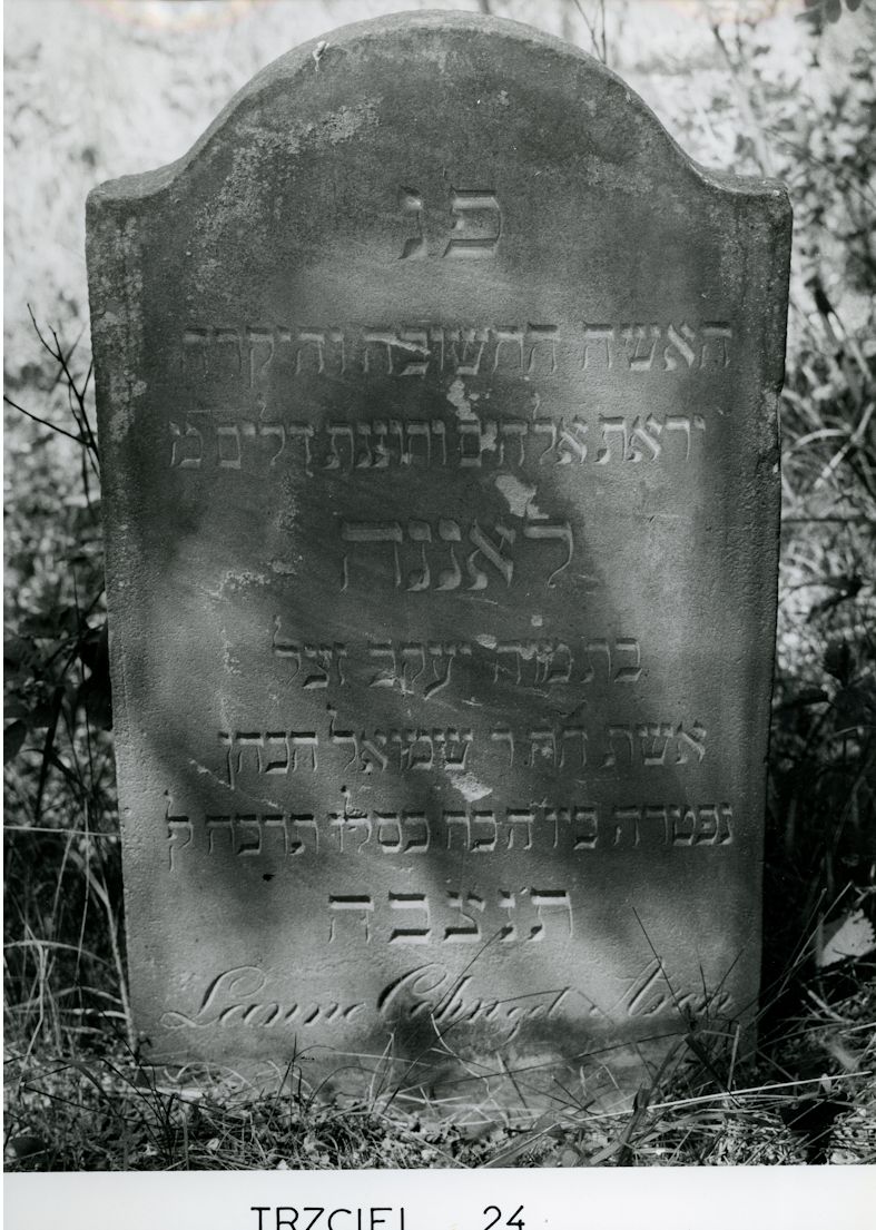 Grabstein Nummer 125 auf dem Friedhof Trzciel (Tirschtiegel)