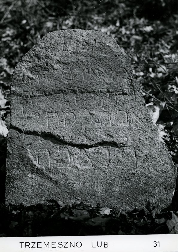 Grabstein Nummer 17 auf dem Friedhof Trzemeszno Lubuskie (Schermeisel)