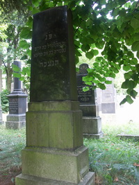 Grabstein Nummer 113 auf dem Friedhof Prenzlau