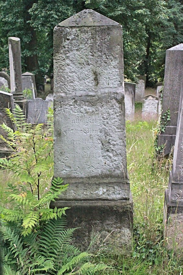 Grabstein Nummer 307 auf dem Friedhof Potsdam