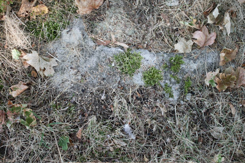 Grabstein Nummer 52 auf dem Friedhof Beelitz
