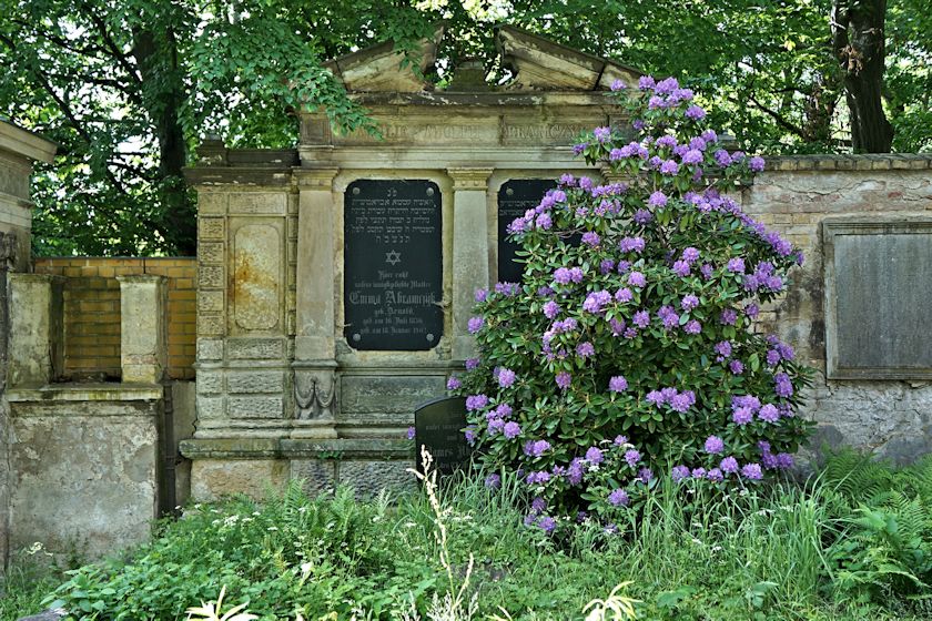 Grabstein Nummer 462 auf dem Friedhof Potsdam