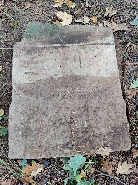 Grabstein Nummer 22 auf dem Friedhof Trzemeszno Lubuskie (Schermeisel)