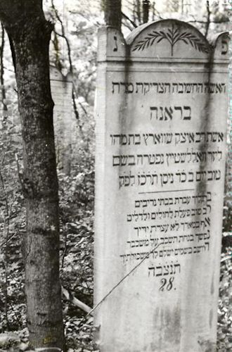 Grabstein Nummer 9 auf dem Friedhof Międzyrzecz (Meseritz)