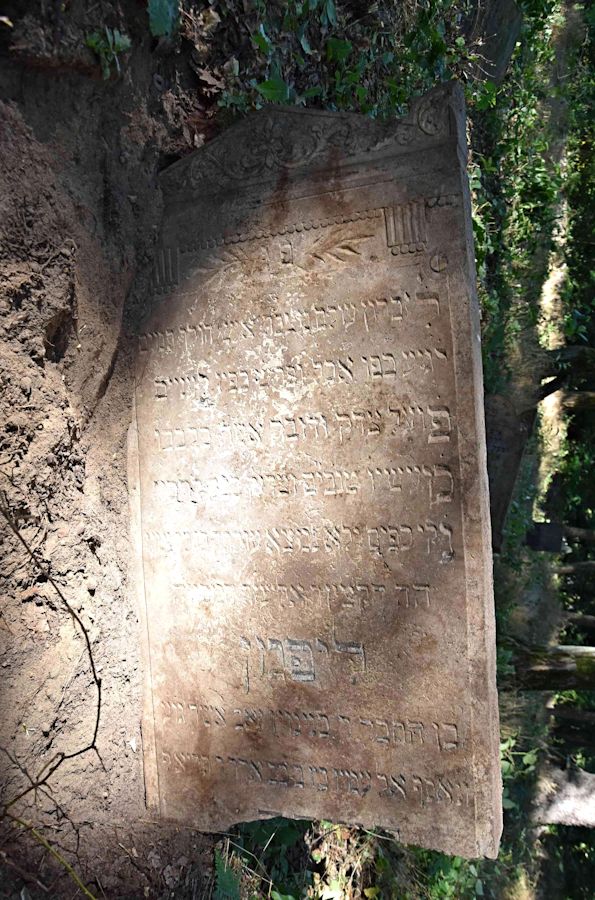Grabstein Nummer 65 auf dem Friedhof Trzemeszno Lubuskie (Schermeisel)