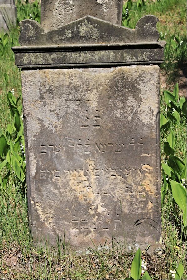 Grabstein Nummer 184 auf dem Friedhof Potsdam