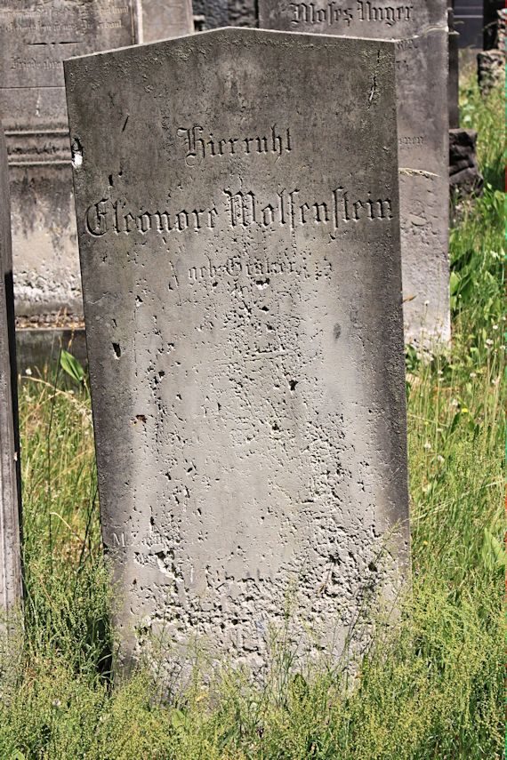 Grabstein Nummer 202 auf dem Friedhof Potsdam