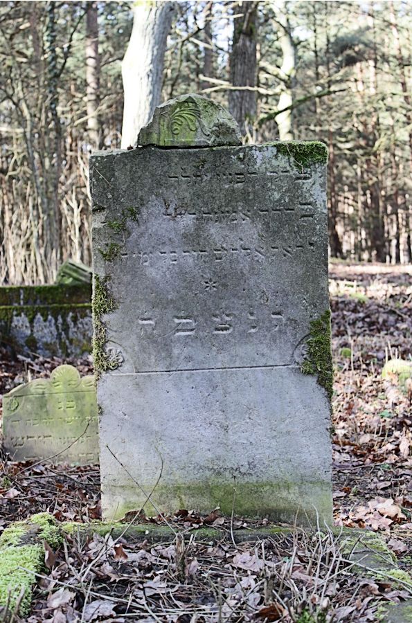 Grabstein Nummer 16 auf dem Friedhof Bledzew (Blesen)