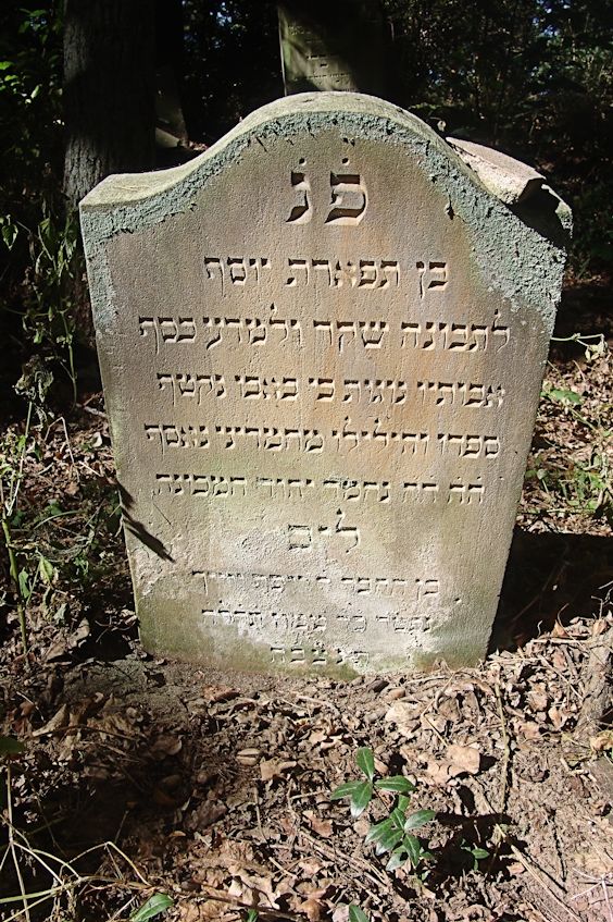 Grabstein Nummer 34 auf dem Friedhof Trzciel (Tirschtiegel)